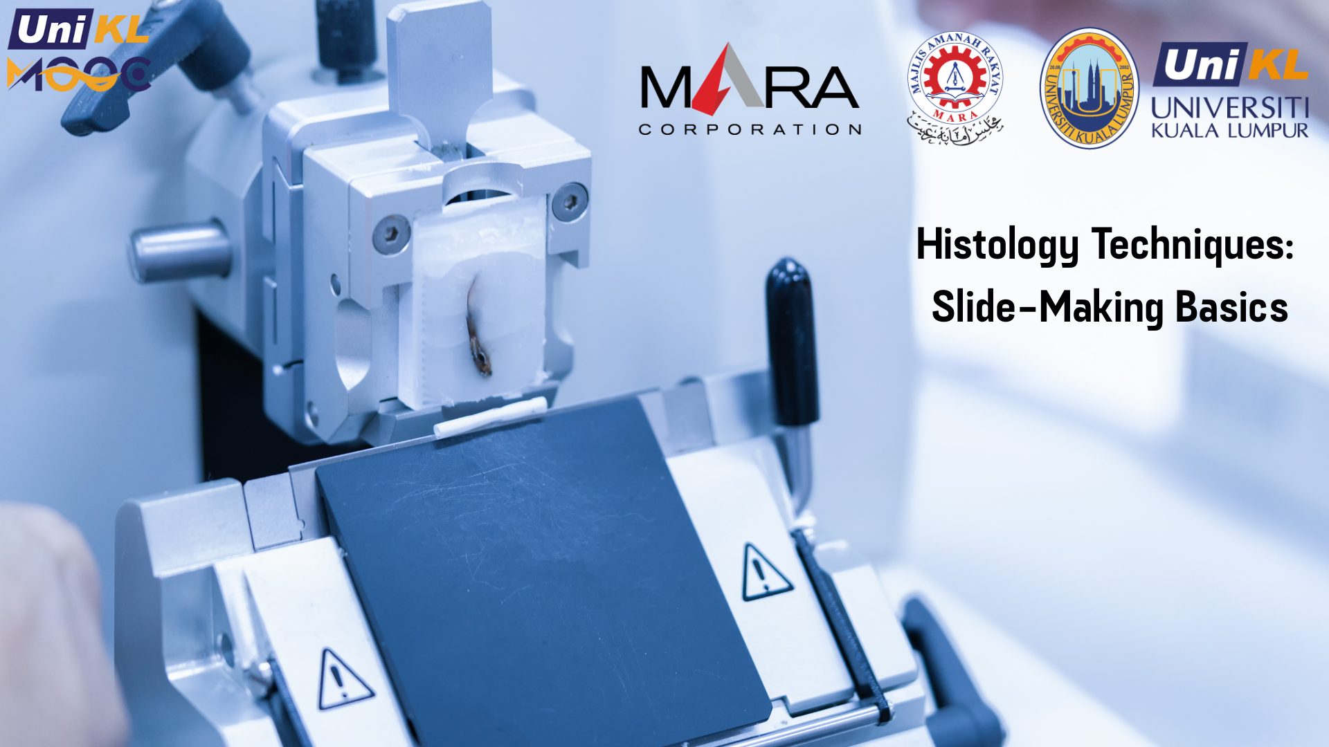 Histology Techniques: Slide-Making Basics